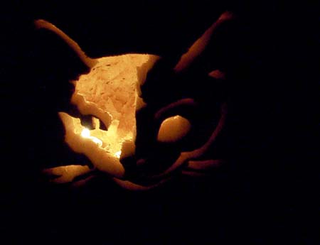 Pumpkin gallery - 16